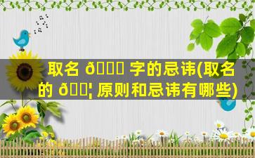 取名 🐘 字的忌讳(取名的 🐦 原则和忌讳有哪些)